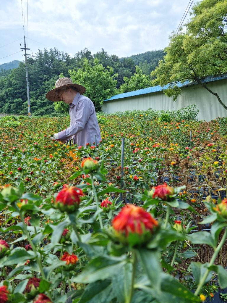 홍염장 김경열